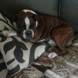 Meet your Posher, Paula