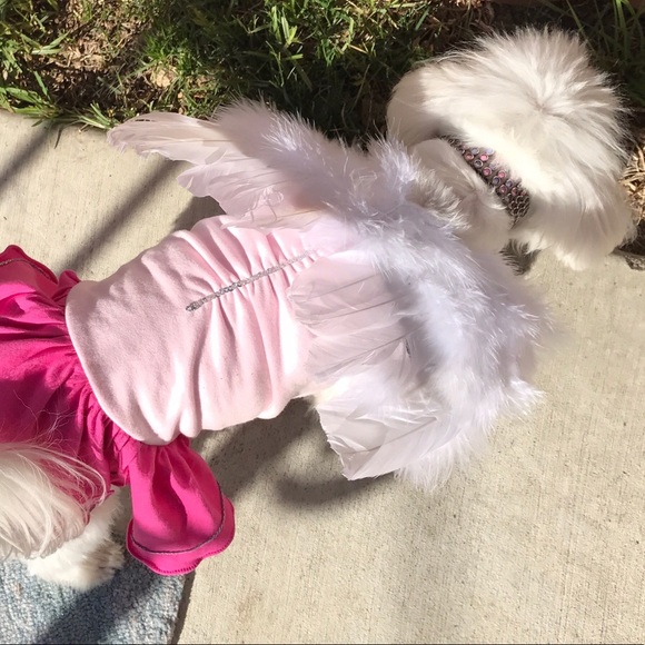🎀NIP: BABY/PET WINGS PHOTO OPP COSTUME PROP☁👼🏻☁ - Picture 6 of 7