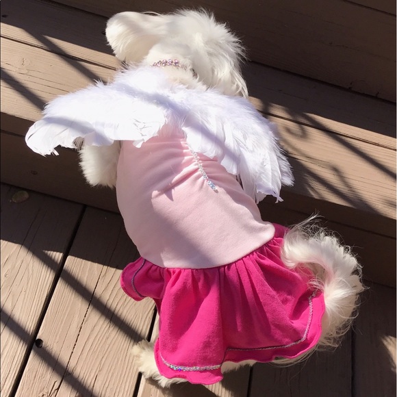 🎀NIP: BABY/PET WINGS PHOTO OPP COSTUME PROP☁👼🏻☁ - Picture 7 of 7