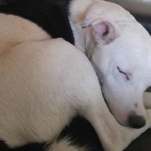 Meet your Posher, Jane