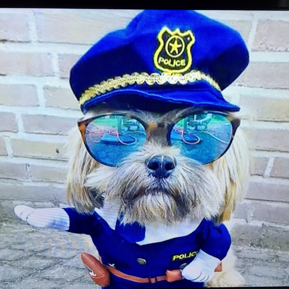 WELCOME- Fashion POPO 👮 on Duty!