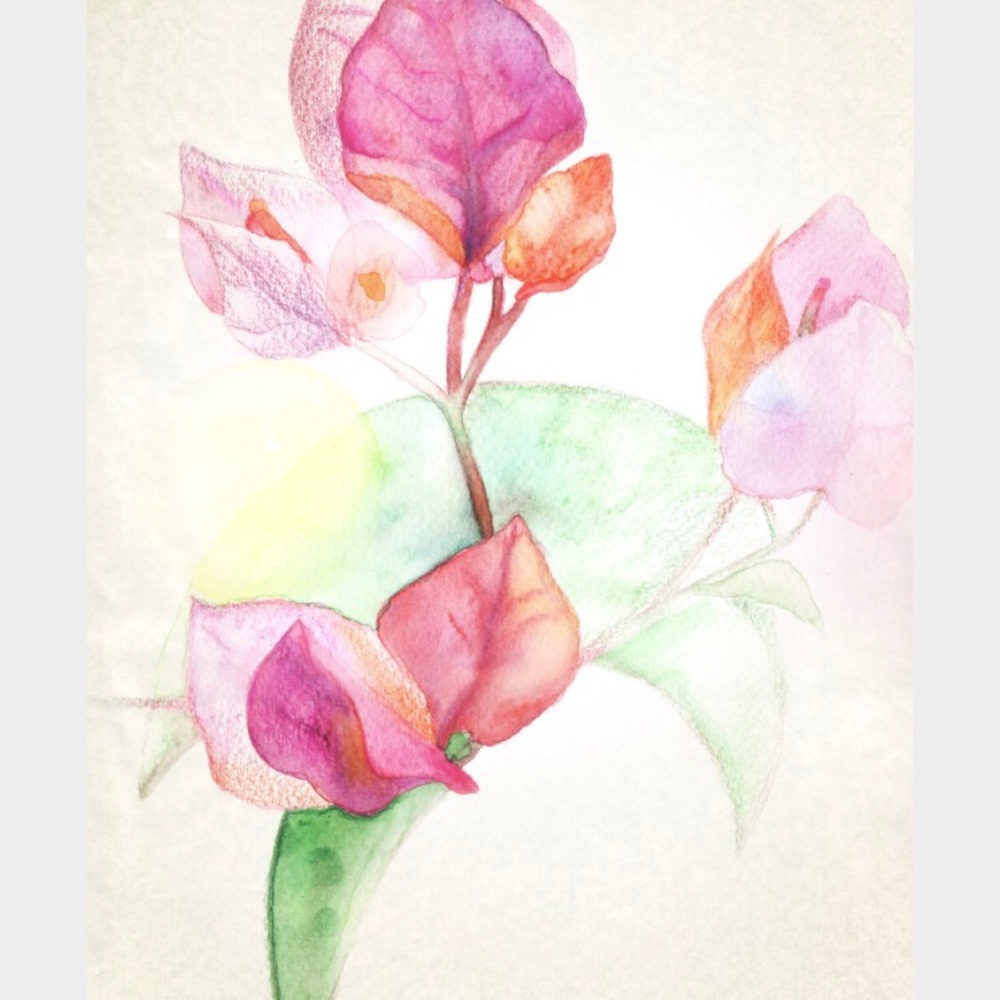 Meet your Posher, Erica