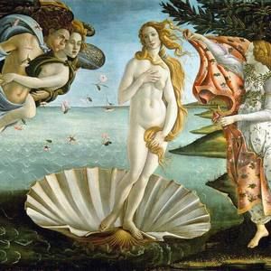 Meet your Posher, Elli