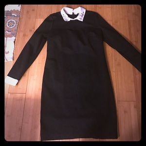 Ann Taylor Dress