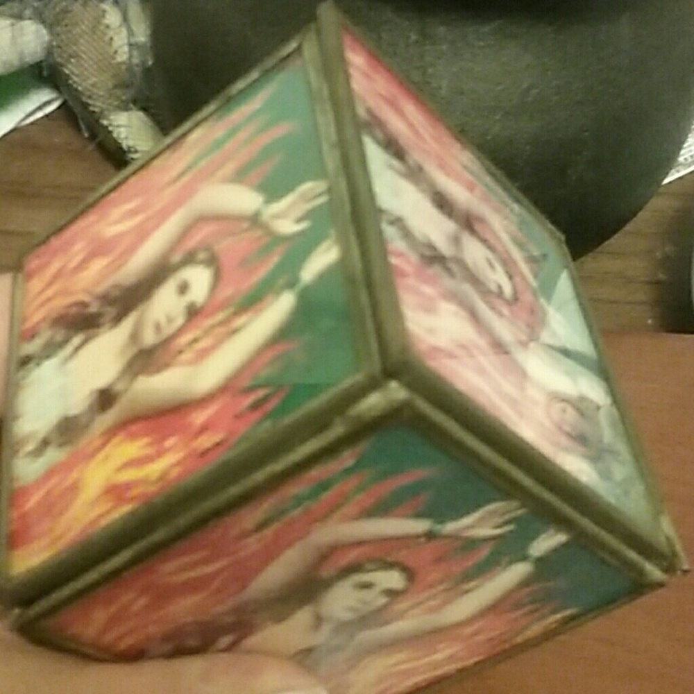 Animal Sola mirror box