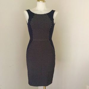 Banana Republic Sheer Dress