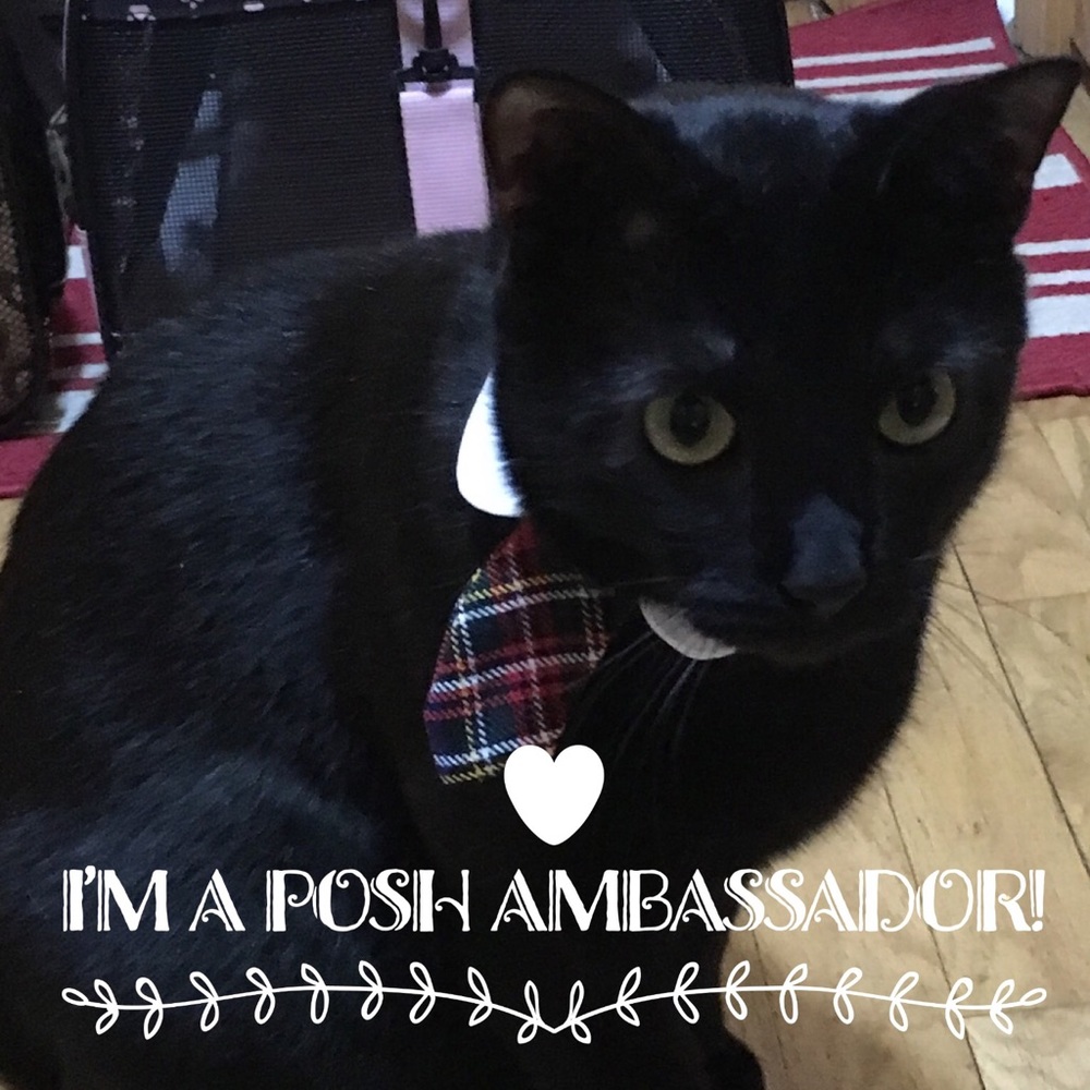 Check Out My Closet!