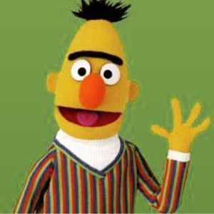 Meet your Posher, Roberta