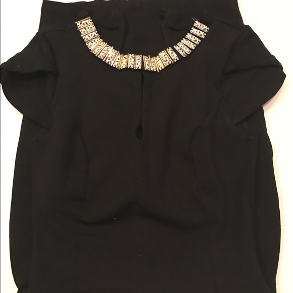 Embroidered Neckline Bodycon Dress - Picture 4 of 4