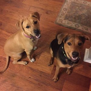 Meet your Posher, Christy