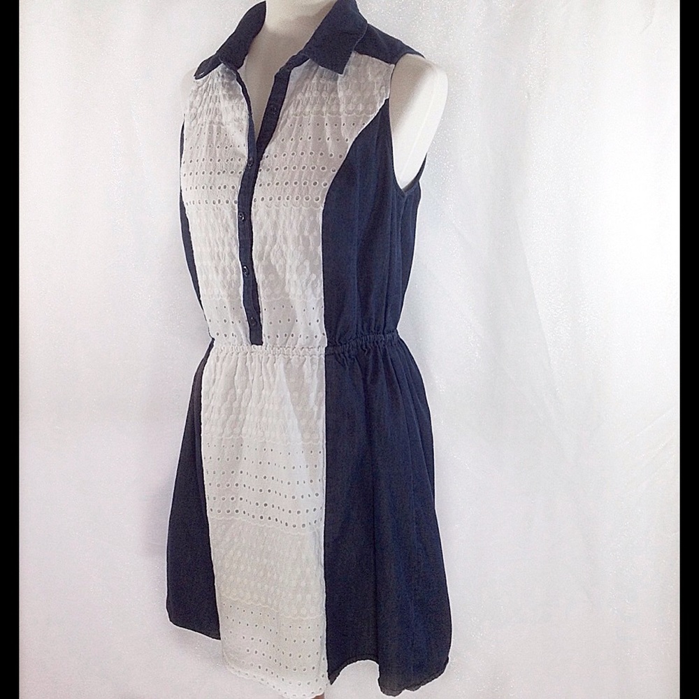 Luxology Dress with White Lace Front Paneling