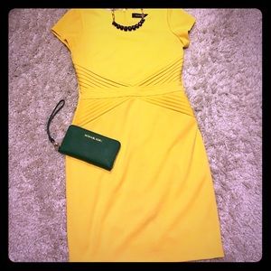 Sunny Ellen Tracy Dress