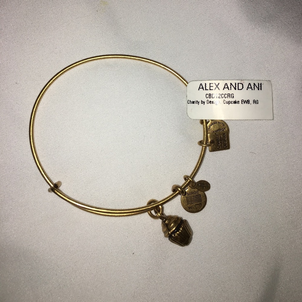 Alex and Ani Bangle