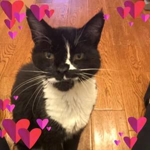 Meet your Posher, Mckenzie