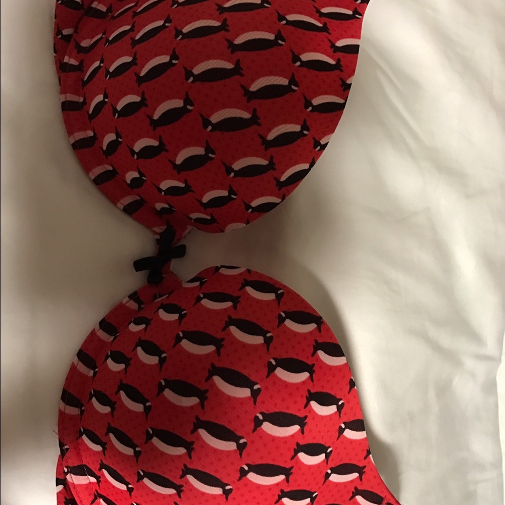 Victoria's Secret penguin bra