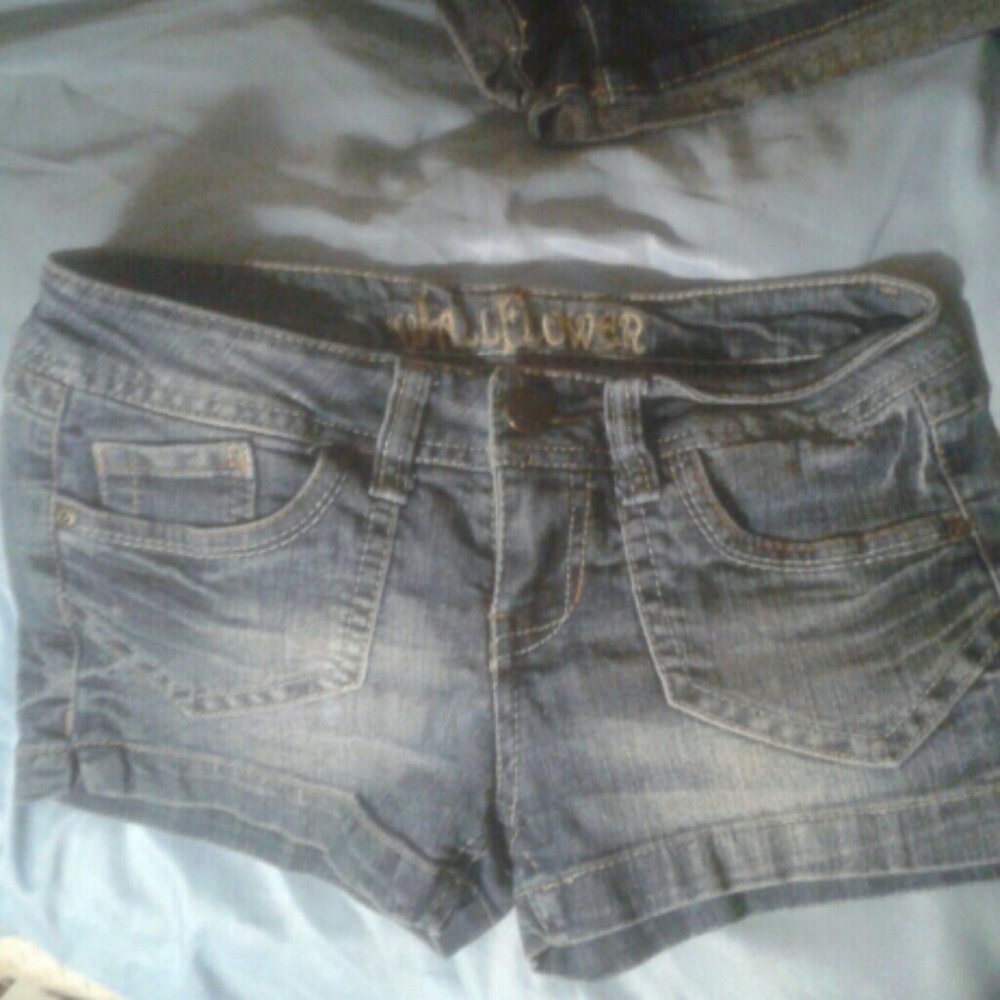 NWOT.....WALLFLOWER SIZE 5 SHORTS