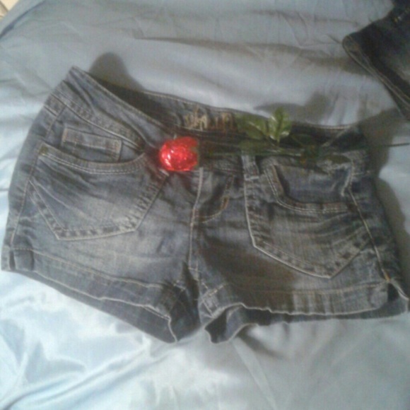 NWOT.....WALLFLOWER SIZE 5 SHORTS - Picture 3 of 4