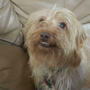 Meet your Posher, Debbie