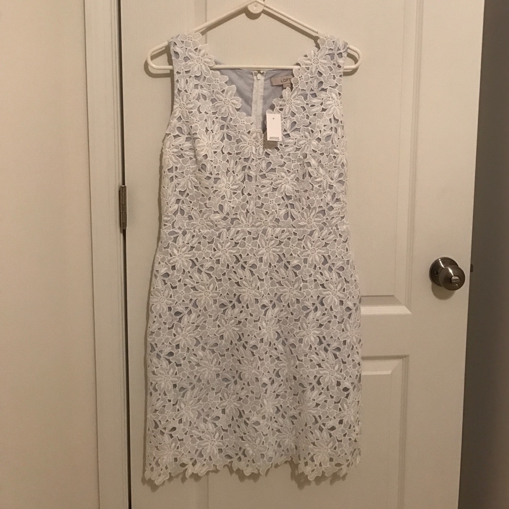 Size 8 Lace LOFT dress