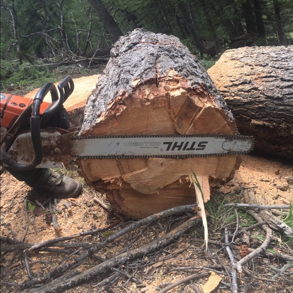 Meet your Posher, Matt - Picture 2 of 7