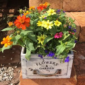 Meet your Posher, Sue