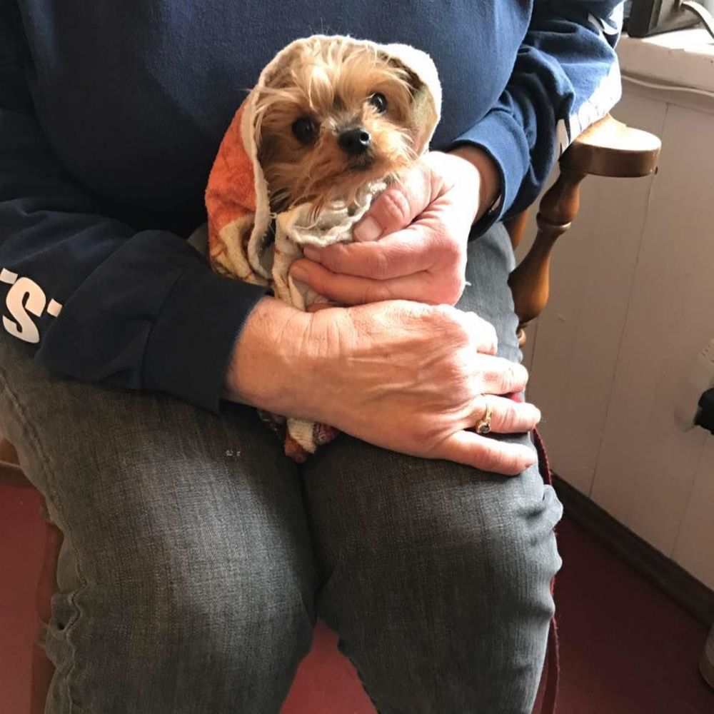 Meet your Posher, Mary lou