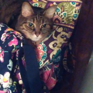 Meet your Posher, Natalie