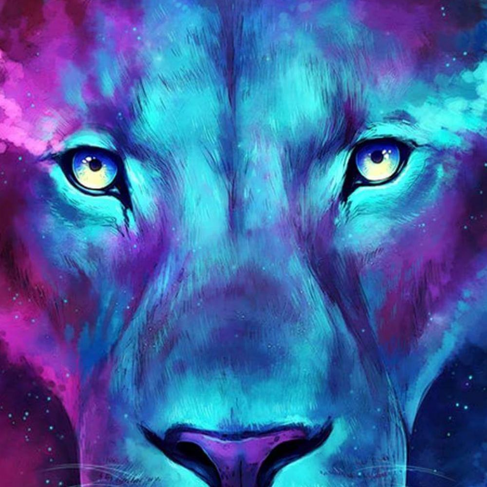 Meet your Posher, Lavon