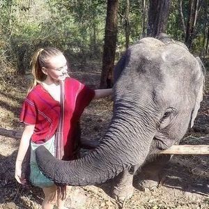 Meet your Posher, Casey