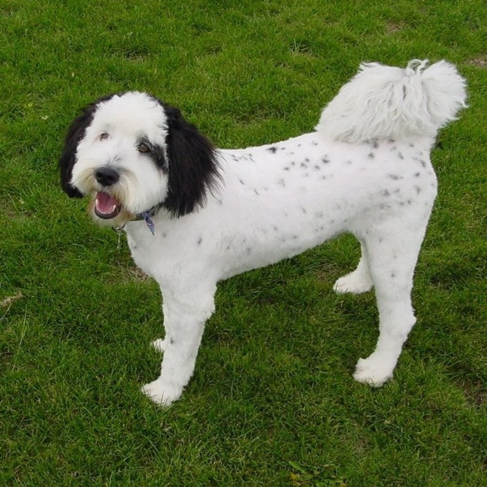 Meet your Posher, Heidi