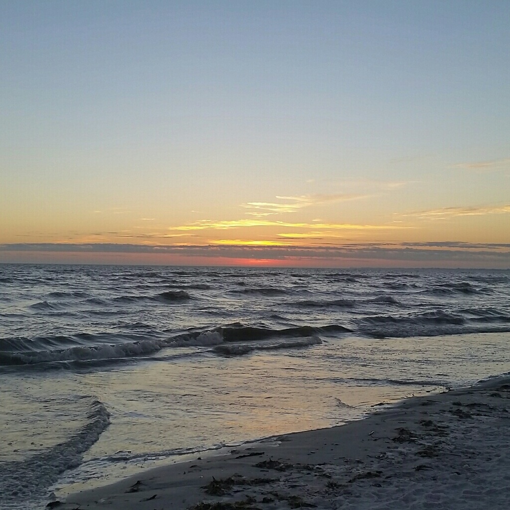 Meet your Posher, Tammi