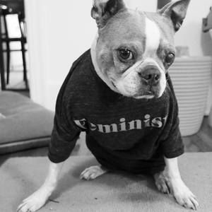 Meet your Posher, Dael