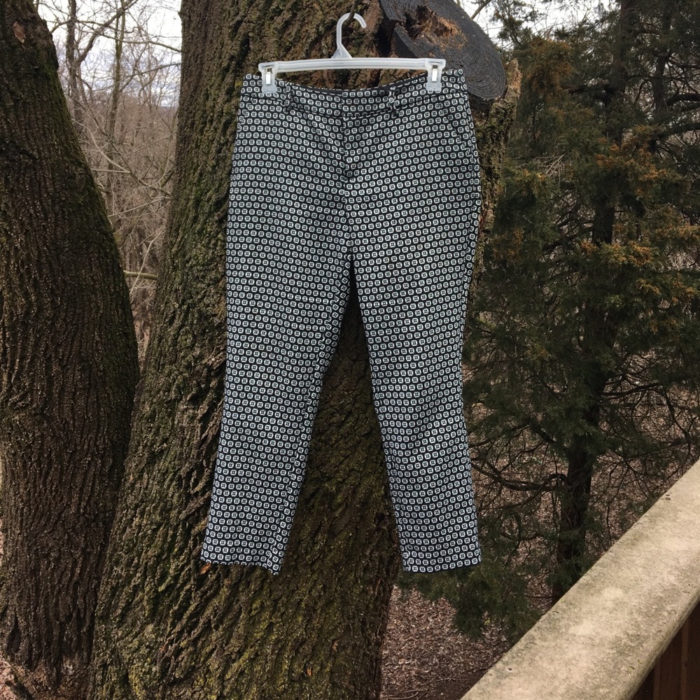 Classic Patterned Ankle Pants
