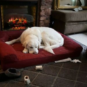 Meet your Posher, Heidi