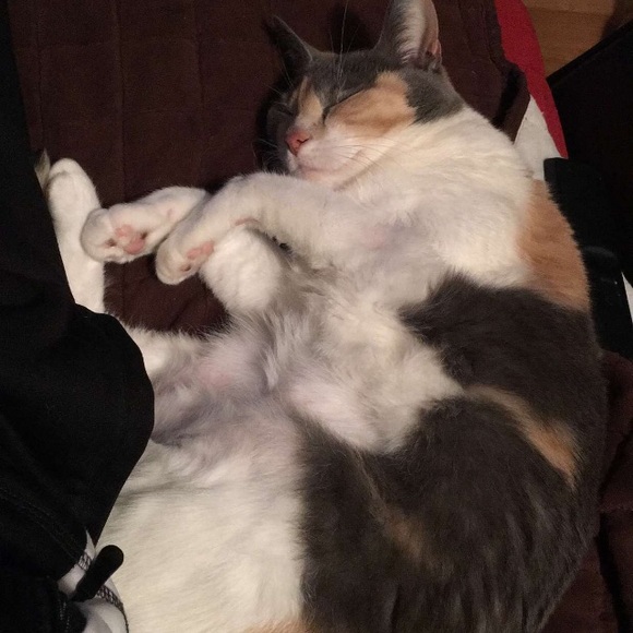 Meet your Posher, Ashlyn - Picture 1 of 1