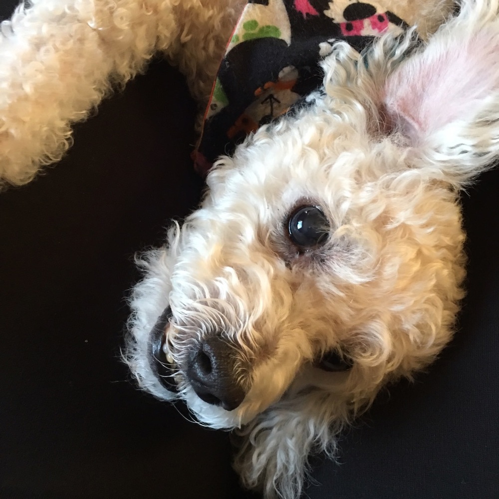 Meet your Posher, Melissa