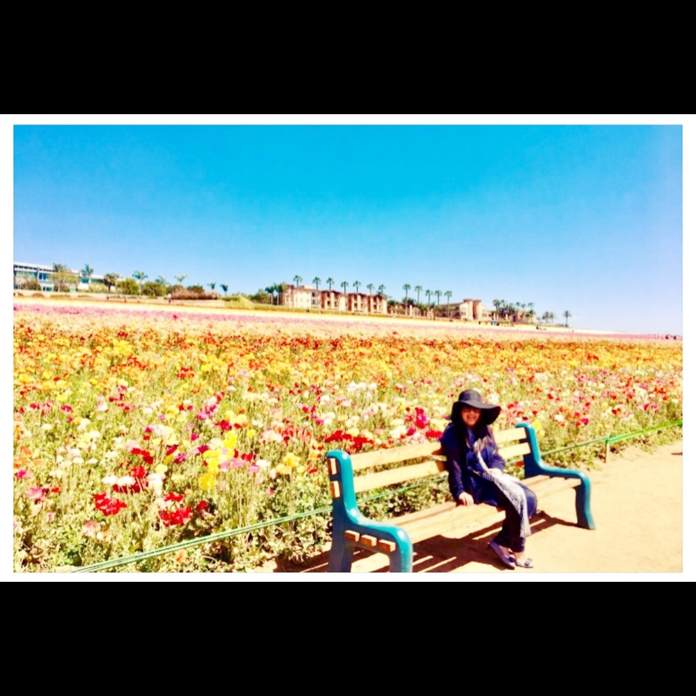 Meet your Posher, Jel