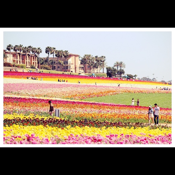 Meet your Posher, Jel - Picture 2 of 3