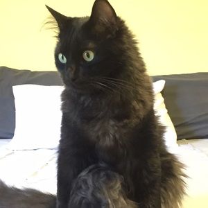 Meet your Posher, Tracy