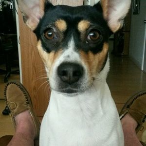 Meet your Posher, Cindy