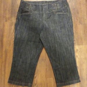 Dark-Wash Denim Capris.