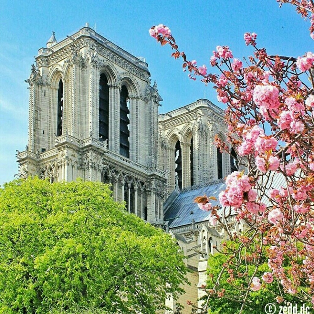 Meet your Posher, Misde