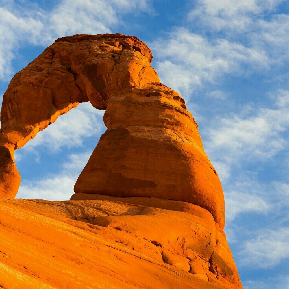 Meet your Posher, Janis