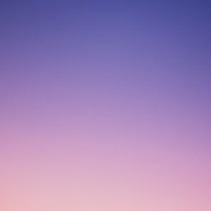 Meet your Posher, Henry