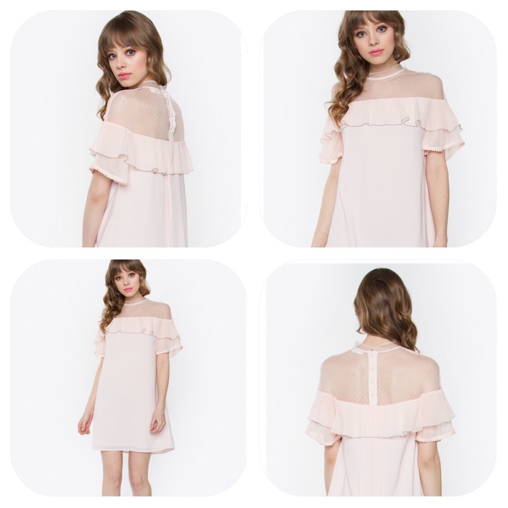 antionette blush dress