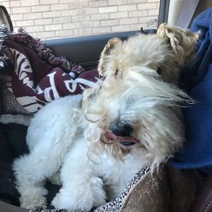 Meet your Posher, Jim