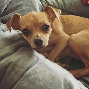 Meet your Posher, Kim