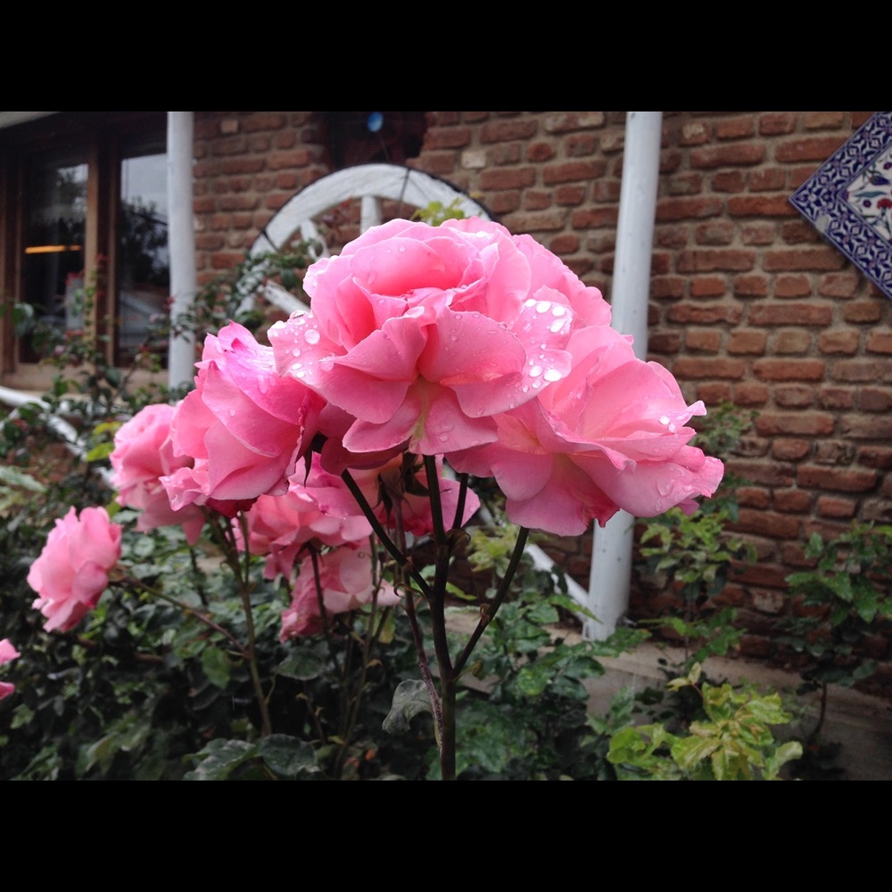 Meet your Posher, Kay