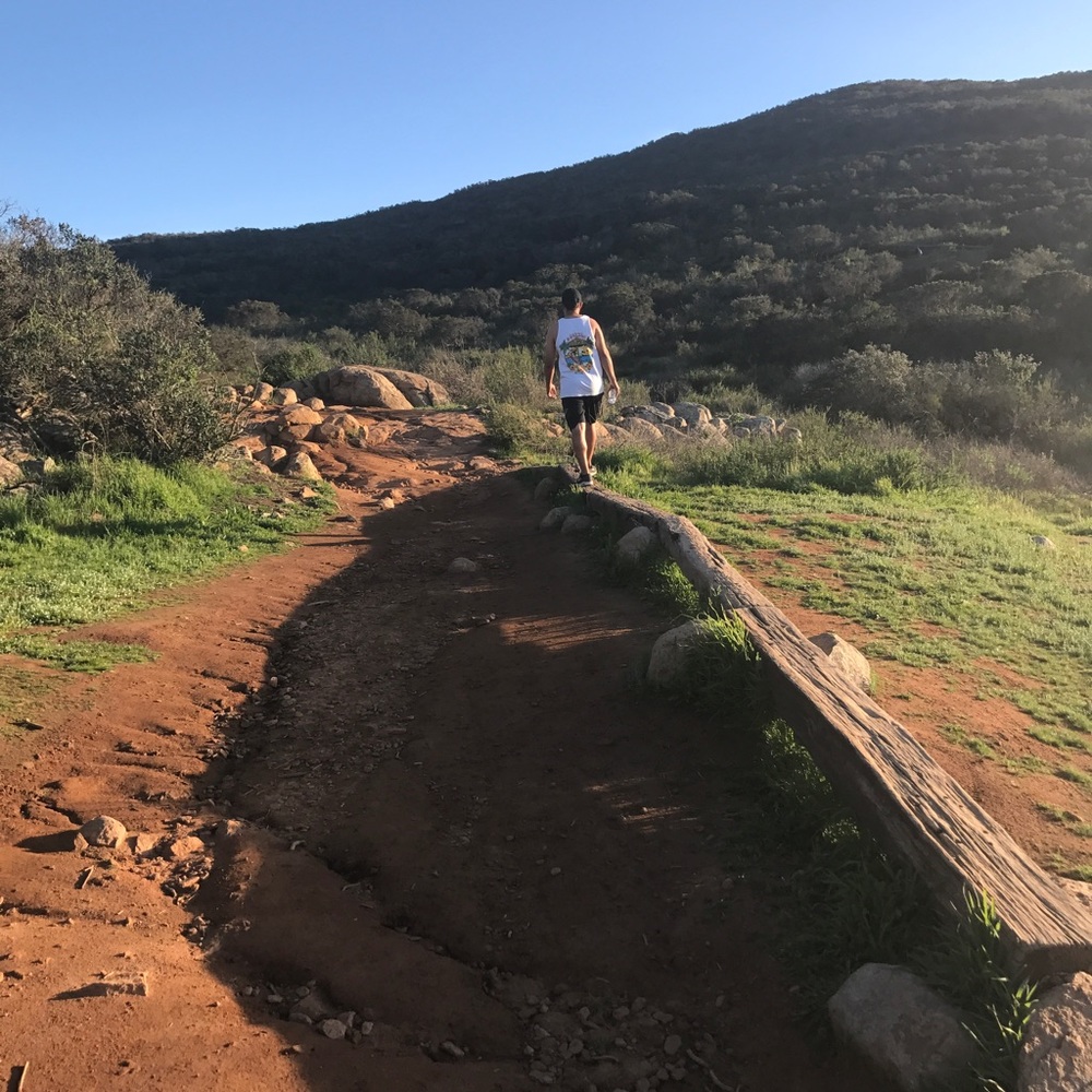 Meet your Posher, Leamary