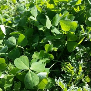 Meet your Posher, Angie